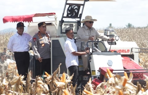 Presiden Prabowo Panen Jagung di Bengkayang Kalbar, Swasembada Kunci Kemerdekaan Kita