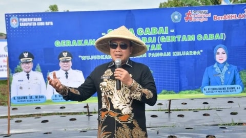 Bupati Kubu Raya Sujiwo Ajak Warga Tanam Cabai di Pekarangan