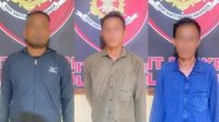 Mandor Licik Gelapkan 36 Ton Sawit, Polsek Kubu Amankan Tiga Pelaku