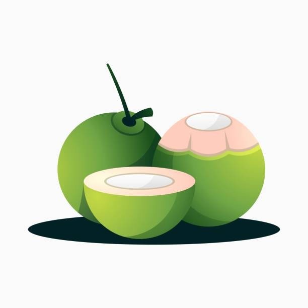 Ilustrasi Kelapa, By : Frepik
