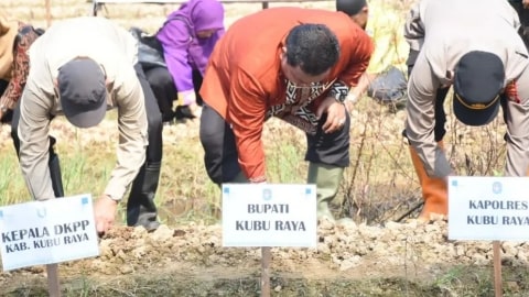 Gebrak Inflasi, Kubu Raya Gelar Tanam Cabai Serentak