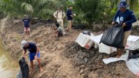 Kolaborasi Jaga Mangrove dan Tambak Udang: 458 Ribu Benur Ditebar di Desa Dabong Lewat Program Silvofishery