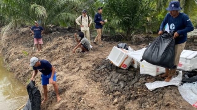 Kolaborasi Jaga Mangrove dan Tambak Udang: 458 Ribu Benur Ditebar di Desa Dabong Lewat Program Silvofishery