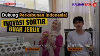 Mesin Sortir Jeruk Cerdas