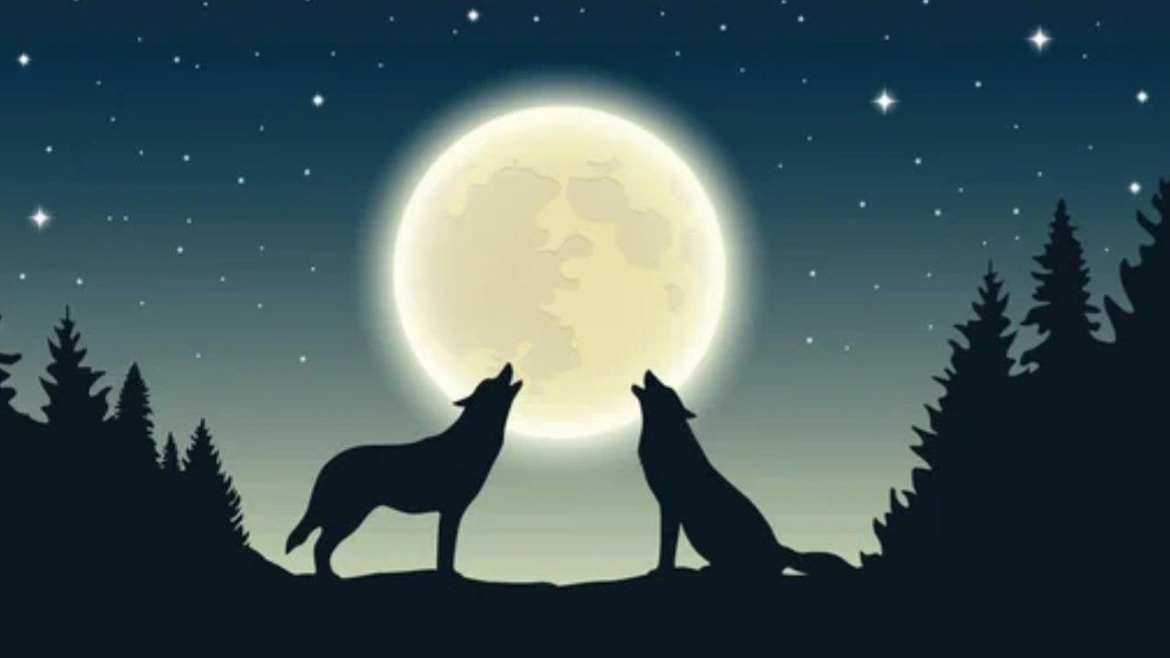 Ilustrasi Wolf Moon Super Moon, Sumber Foto : Frepik