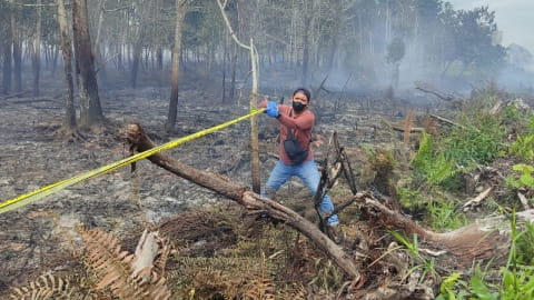 Cegah Karhutla, Pemkab dan Polres Kubu Raya Segel Lahan di Punggur Kecil