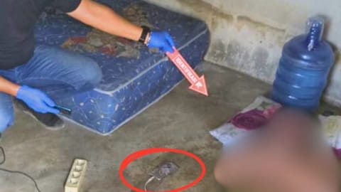 Karyawan Peternakan Ayam di Kubu Raya Tewas Tersengat Listrik Saat Cas HP