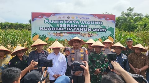 Panen Jagung Serentak, Kubu Raya Dukung Program Astacita Presiden Prabowo