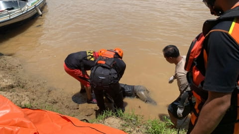 Dua ABK Kapal Terbalik di Sungai Kapuas Ditemukan Meninggal
